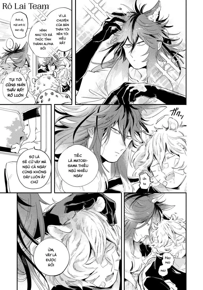 Omega Mùa Xuân Quý Hiếm Chapter 2 Trang 47