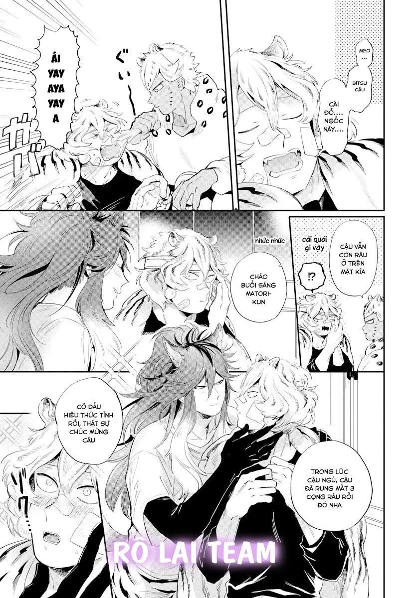 Omega Mùa Xuân Quý Hiếm Chapter 3 Trang 5