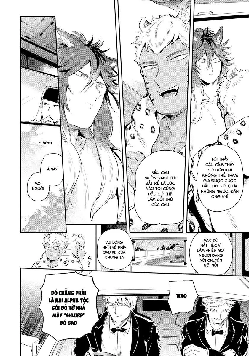 Omega Mùa Xuân Quý Hiếm Chapter 3 Trang 12