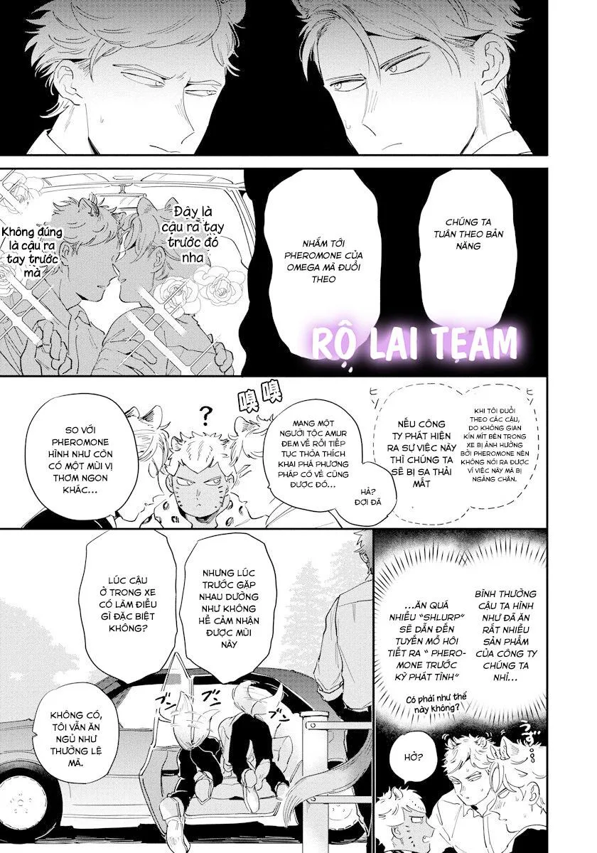 Omega Mùa Xuân Quý Hiếm Chapter 3 Trang 17