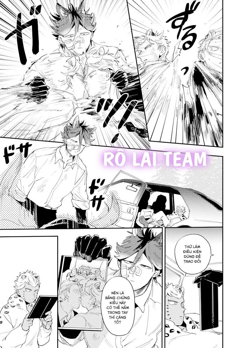 Omega Mùa Xuân Quý Hiếm Chapter 3 Trang 19