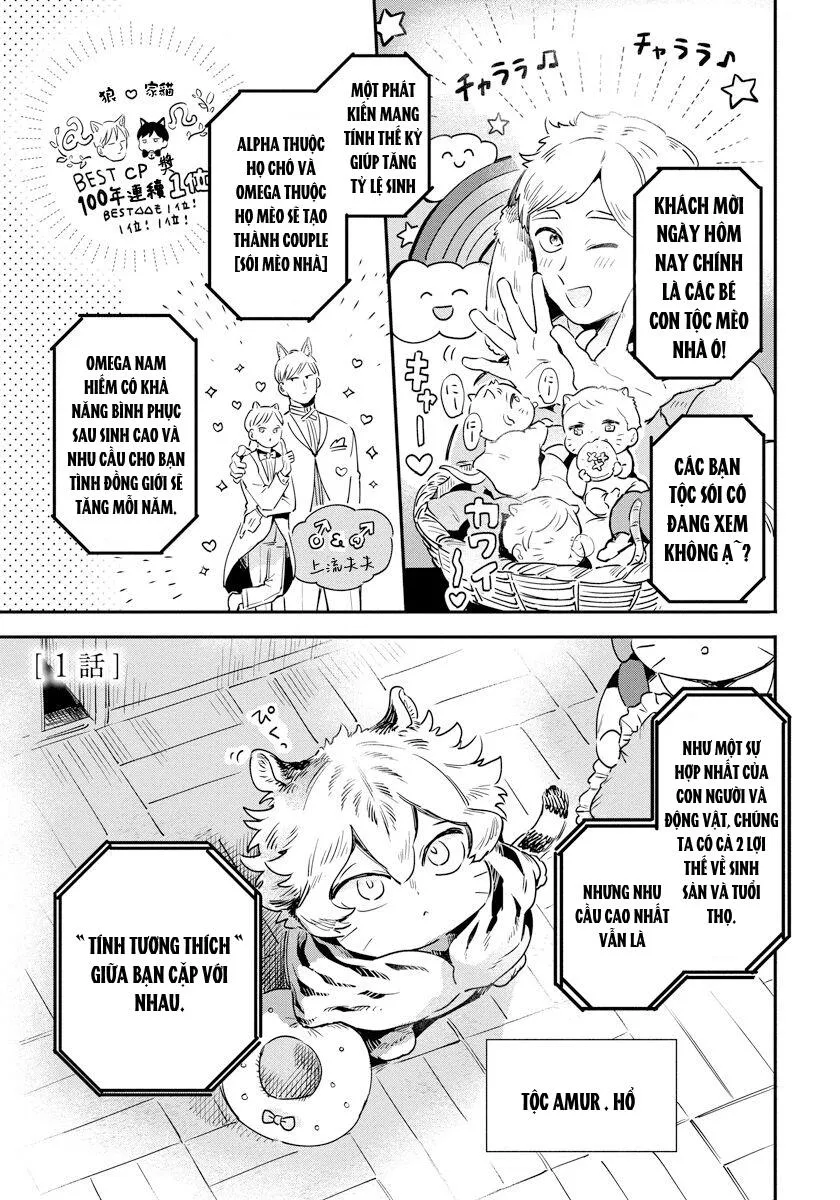 Omega Mùa Xuân Quý Hiếm Chapter 1 Trang 5