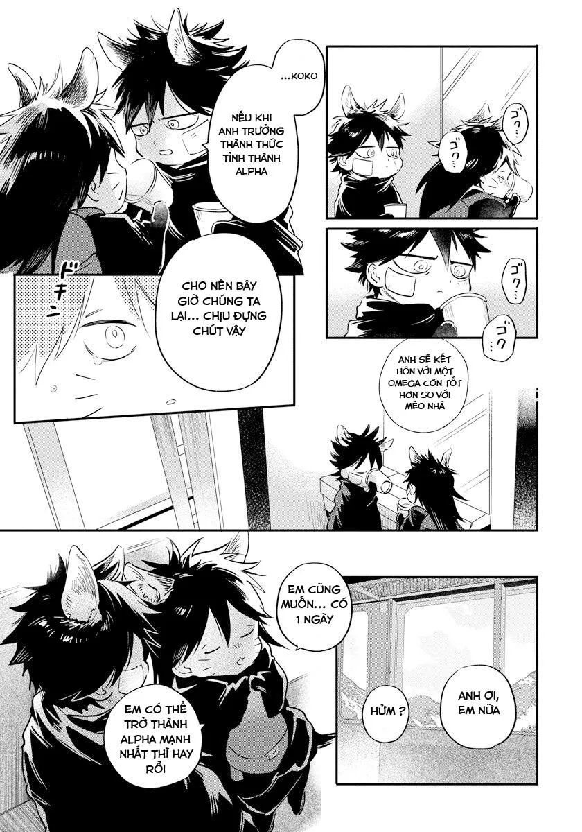 Omega Mùa Xuân Quý Hiếm Chapter 1 Trang 19