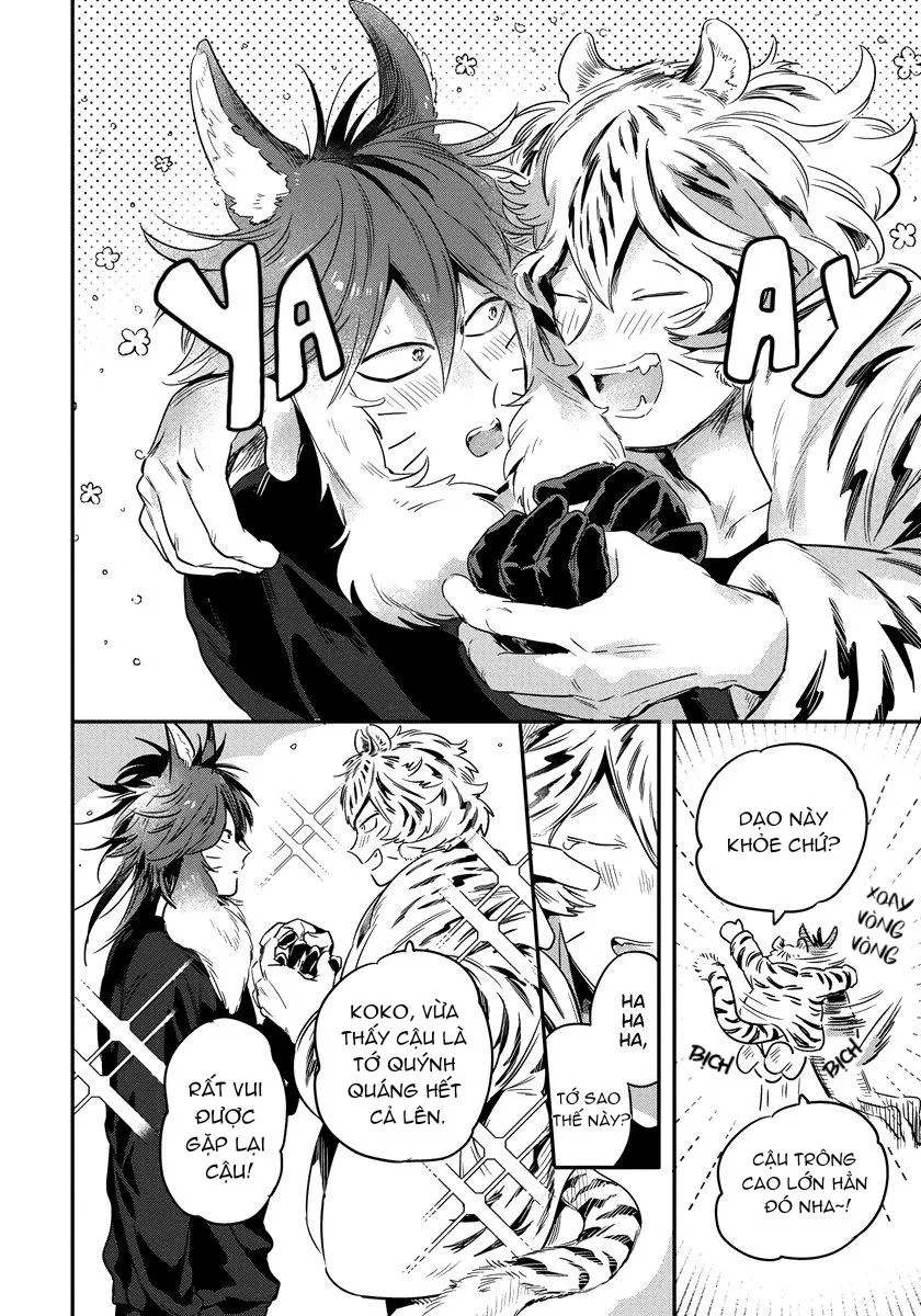 Omega quý hiếm Chapter 2 Trang 3