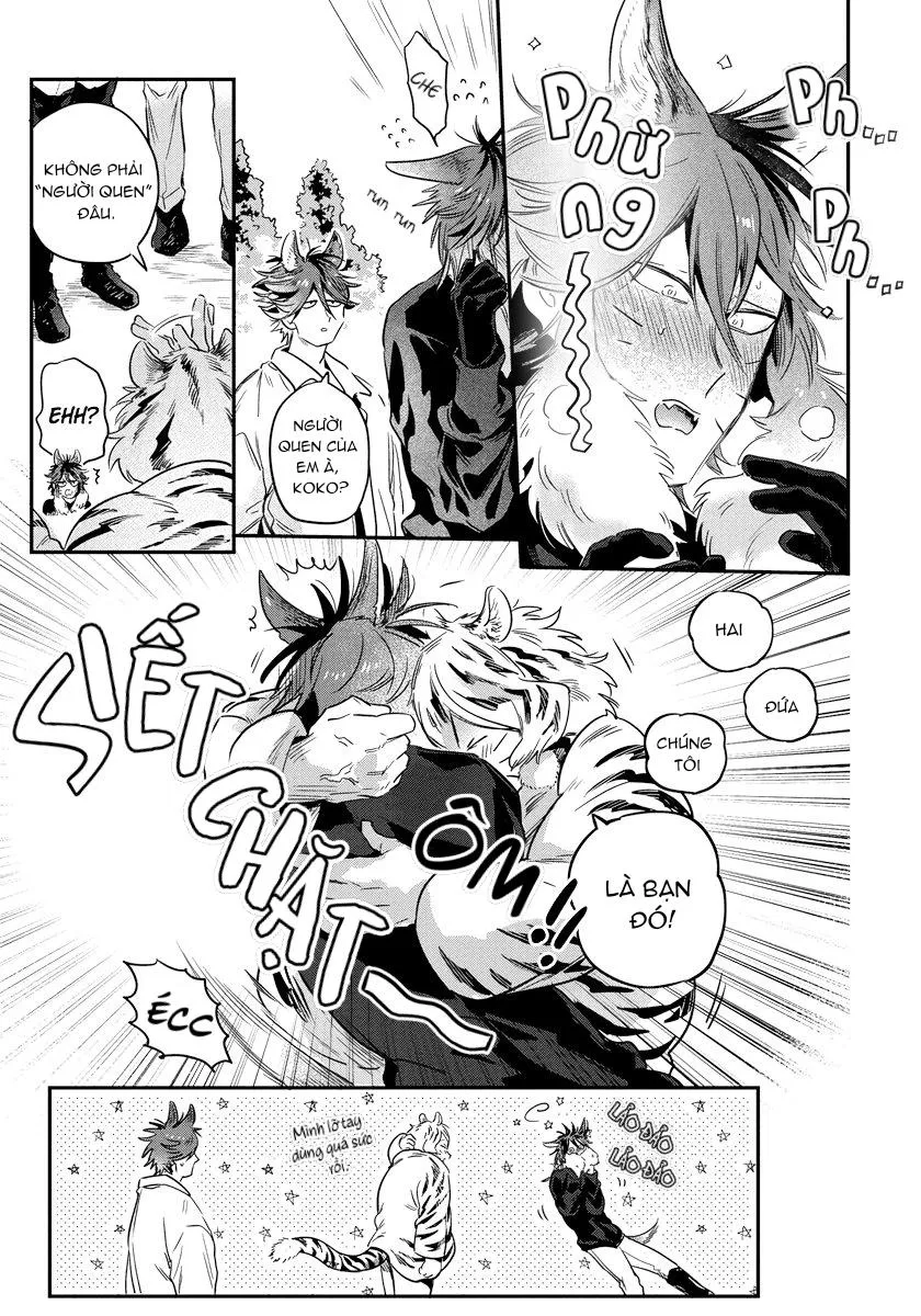 Omega quý hiếm Chapter 2 Trang 4