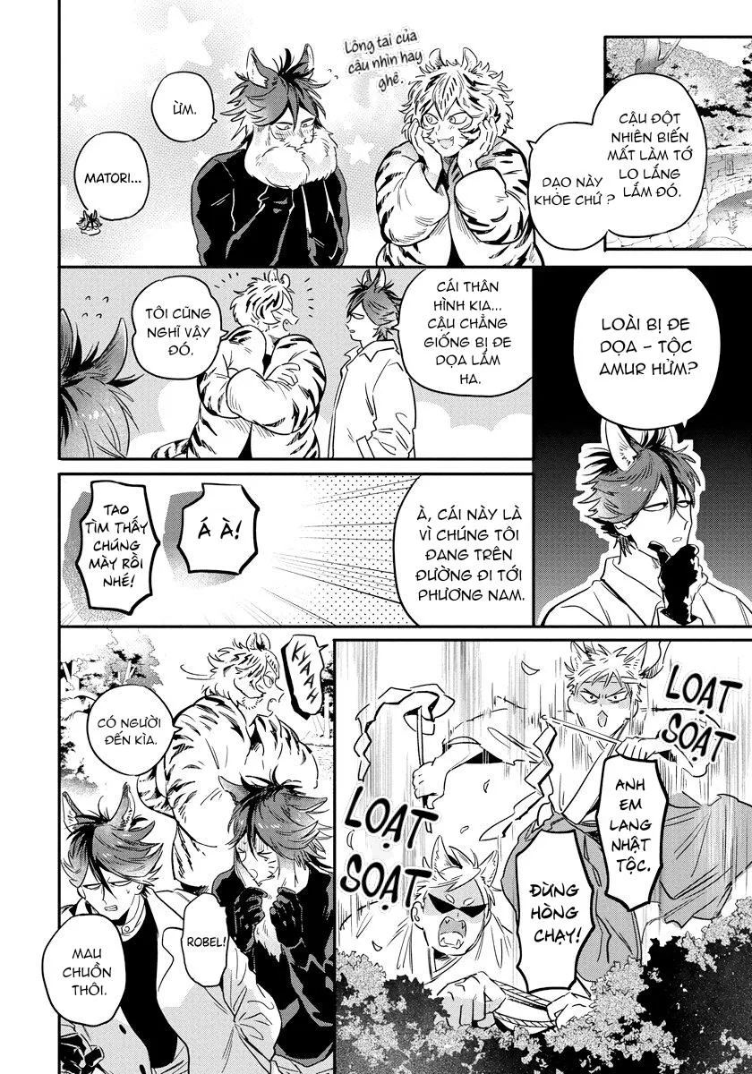 Omega quý hiếm Chapter 2 Trang 5