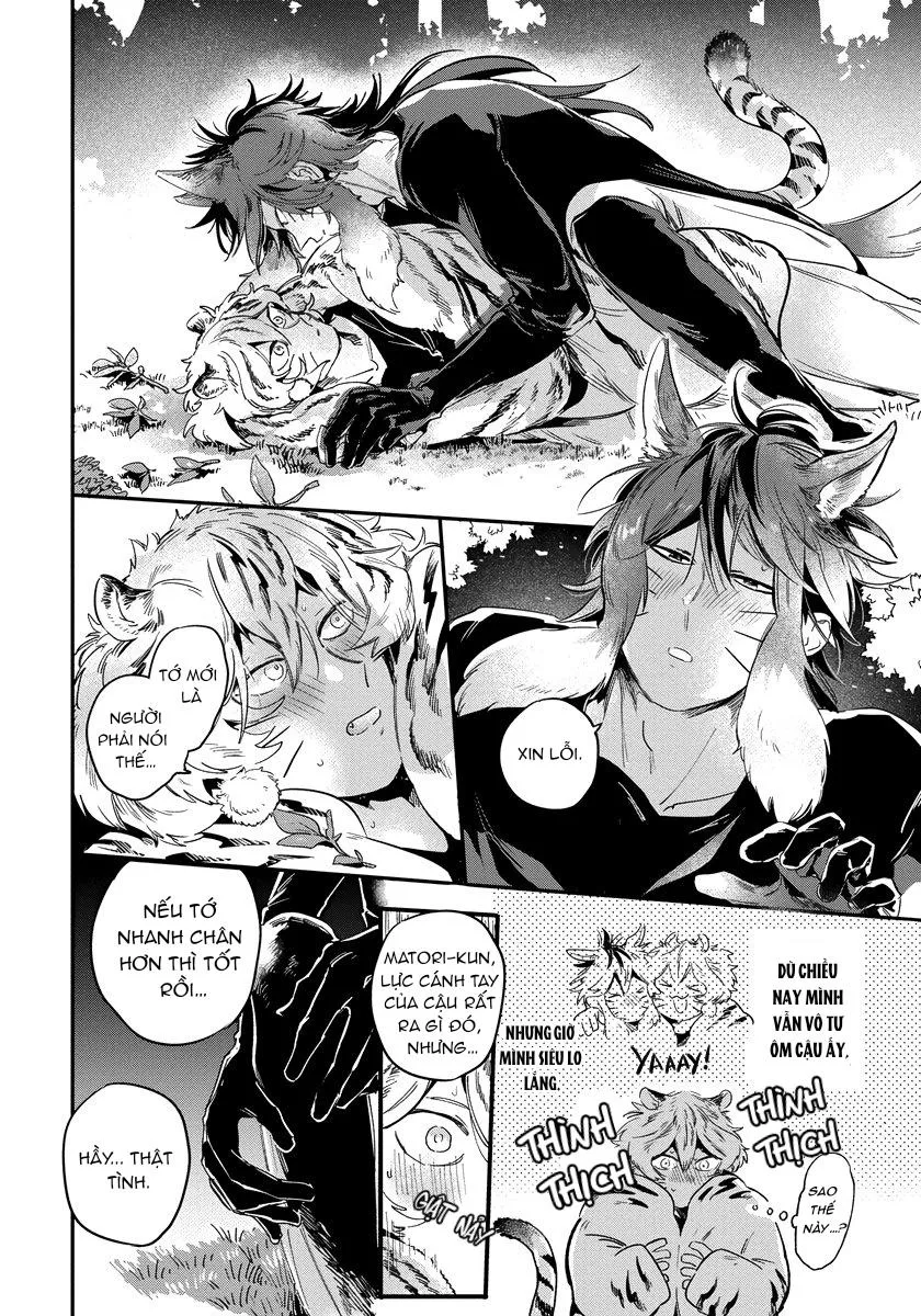 Omega quý hiếm Chapter 2 Trang 17