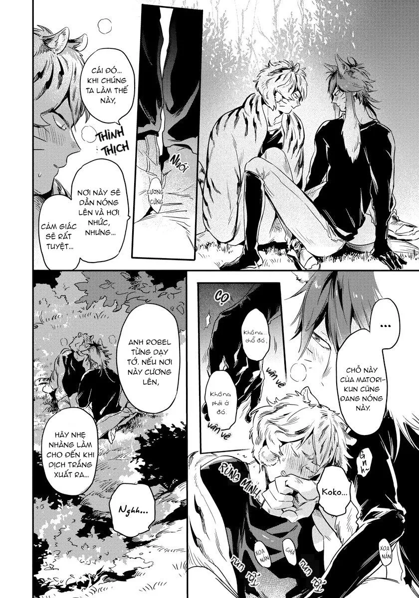 Omega quý hiếm Chapter 2 Trang 19