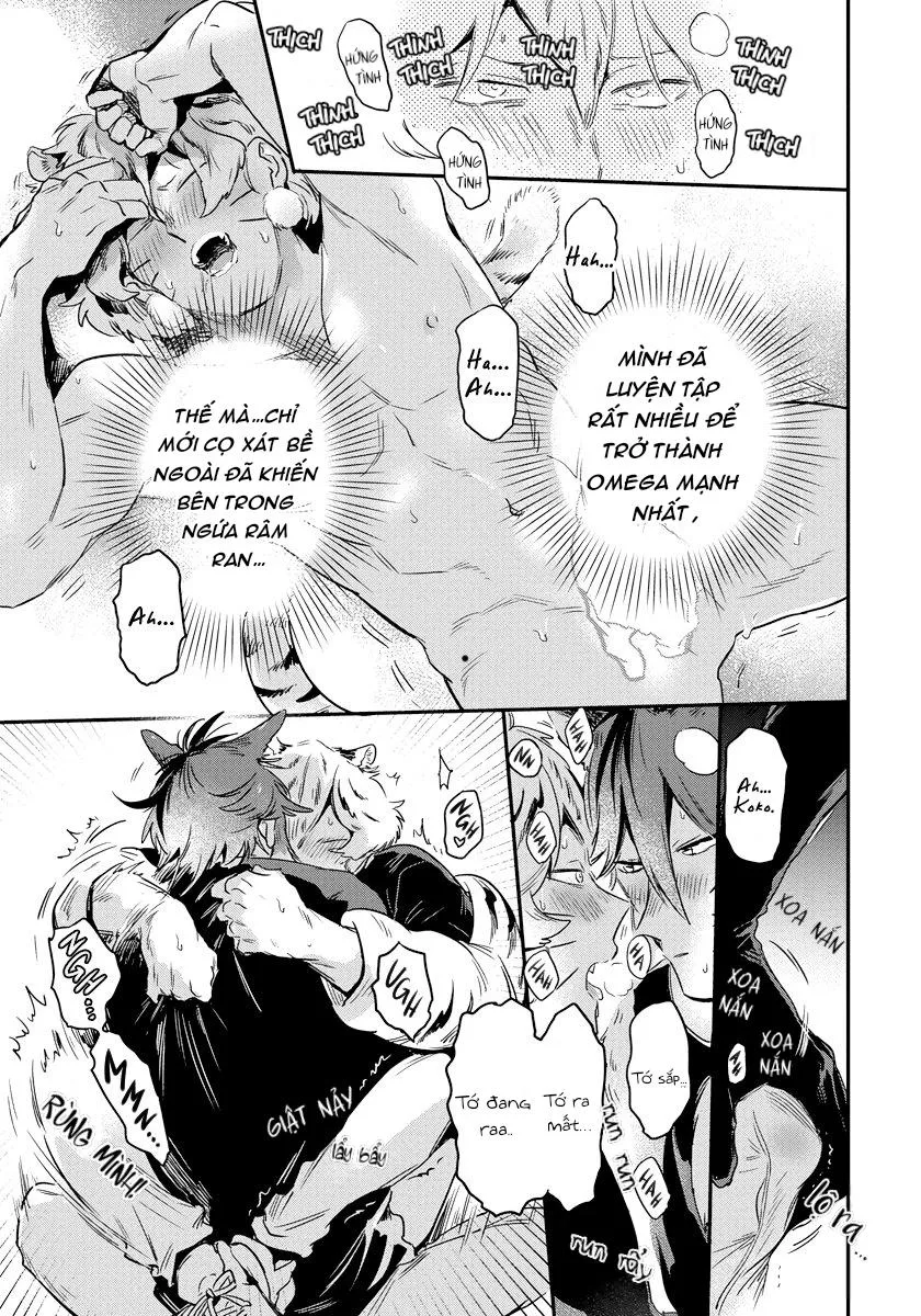 Omega quý hiếm Chapter 2 Trang 20