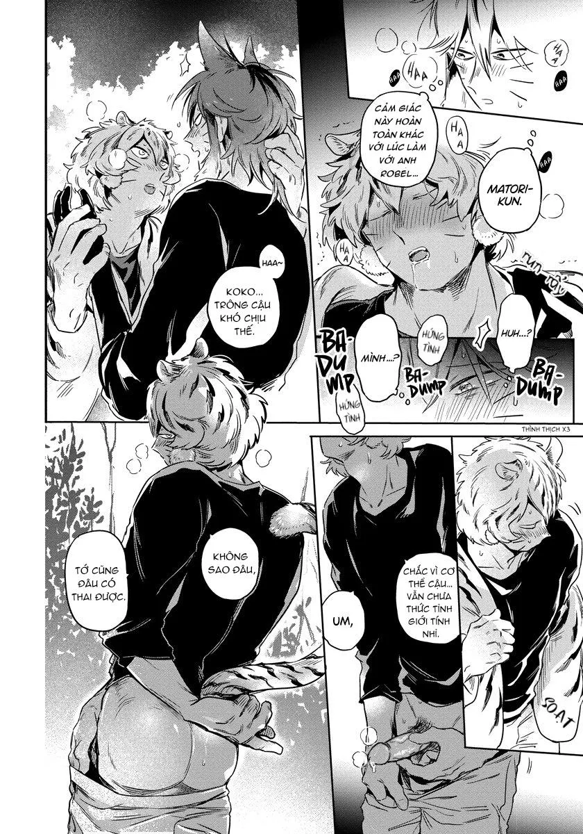 Omega quý hiếm Chapter 2 Trang 21