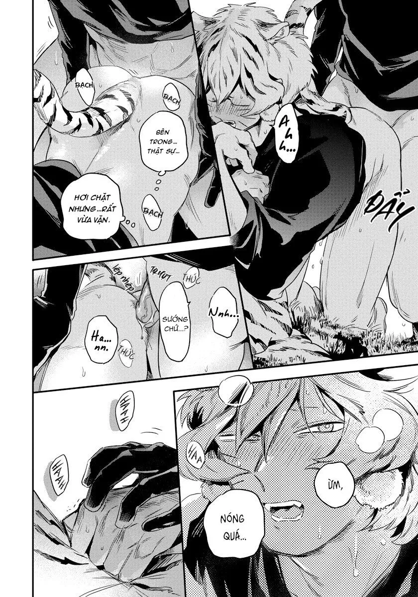 Omega quý hiếm Chapter 2 Trang 23