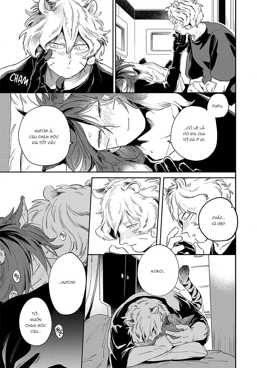 Omega quý hiếm Chapter 3 Trang 10