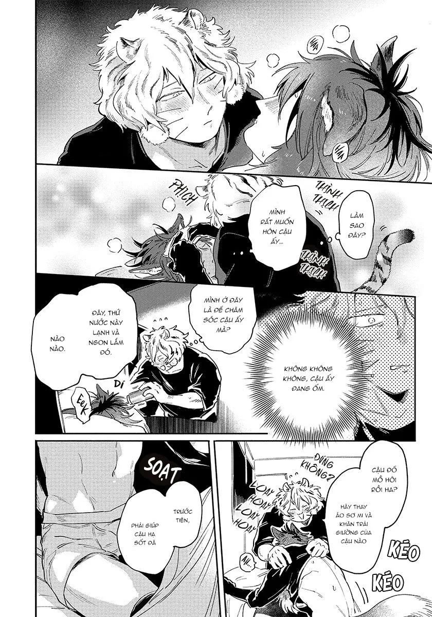 Omega quý hiếm Chapter 3 Trang 11