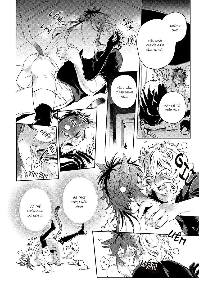 Omega quý hiếm Chapter 3 Trang 13