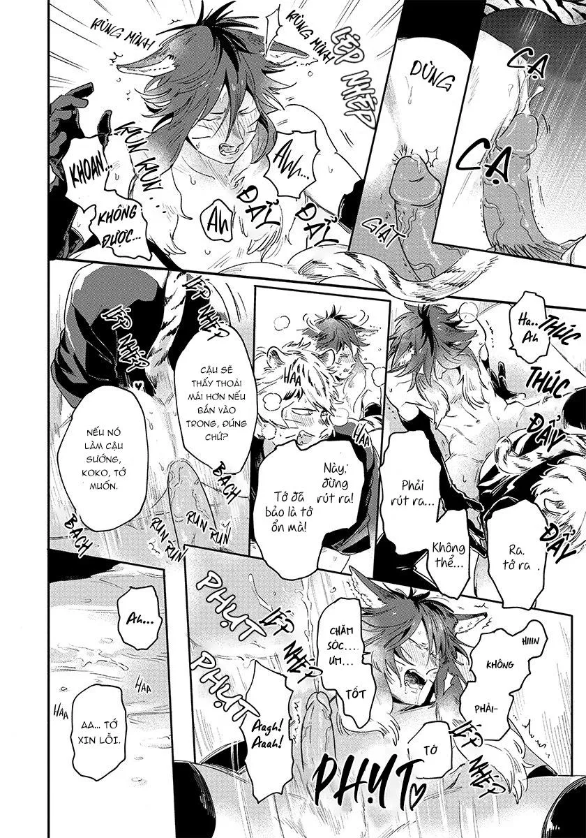 Omega quý hiếm Chapter 3 Trang 15