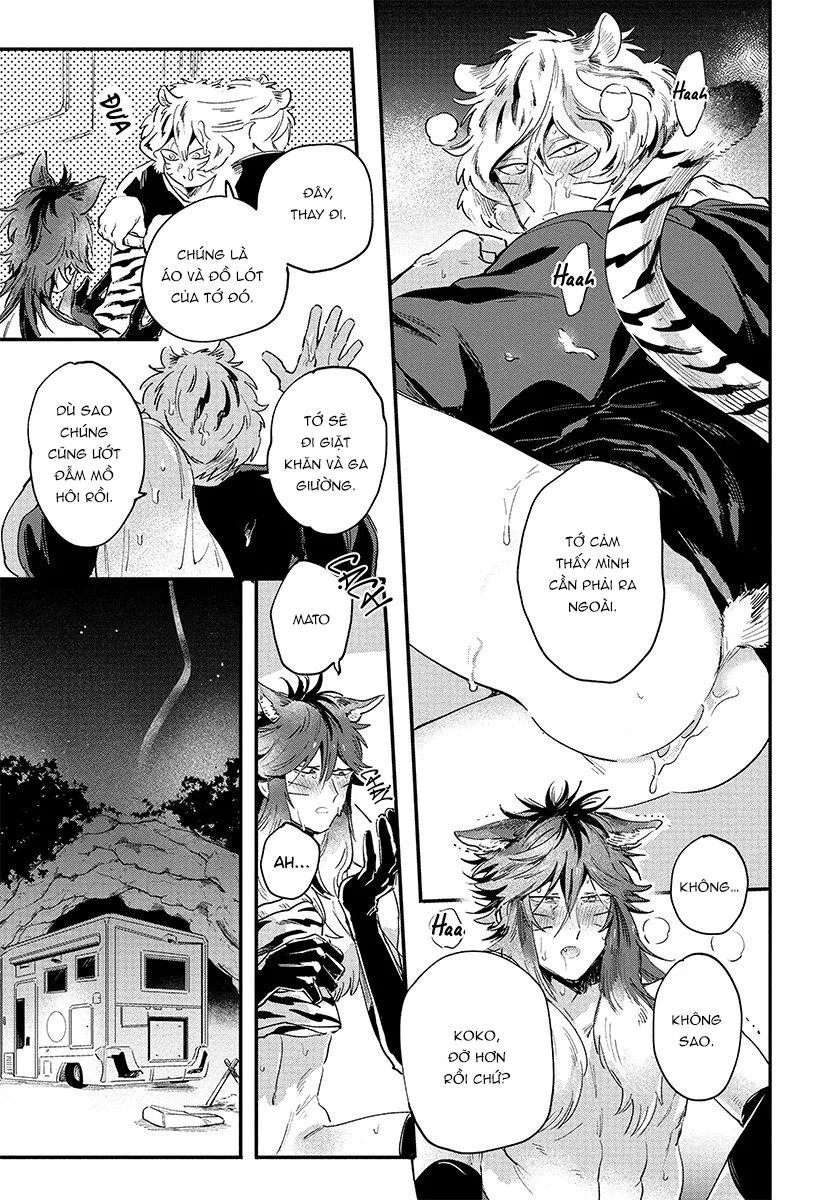 Omega quý hiếm Chapter 3 Trang 16