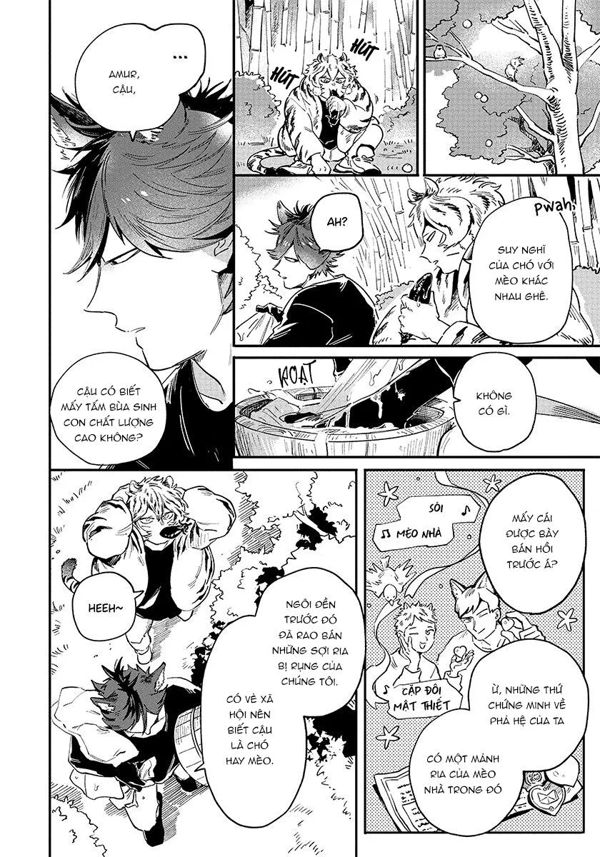 Omega quý hiếm Chapter 3 Trang 17