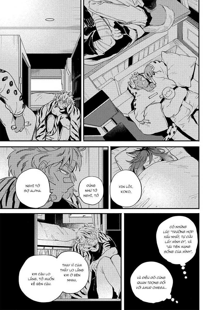 Omega quý hiếm Chapter 3 Trang 22