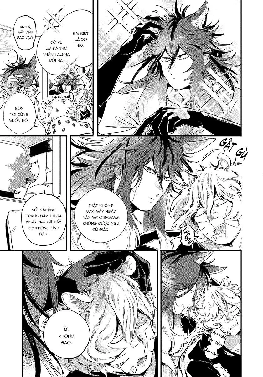 Omega quý hiếm Chapter 3 Trang 24