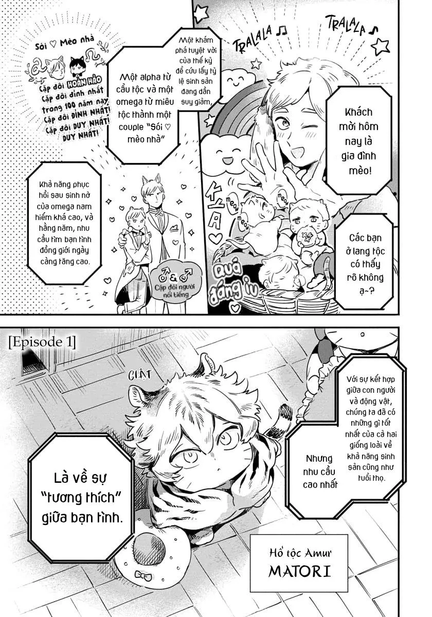 Omega quý hiếm Chapter 1 Trang 6