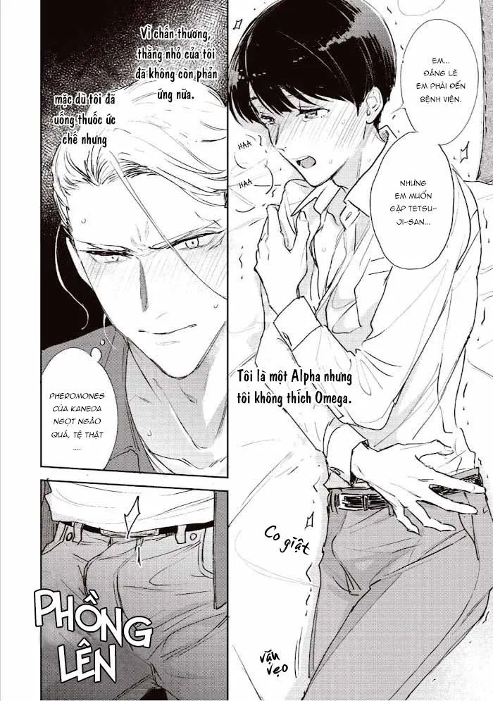 Omegaverse Ngọt Ngào Chapter 1 Trang 26