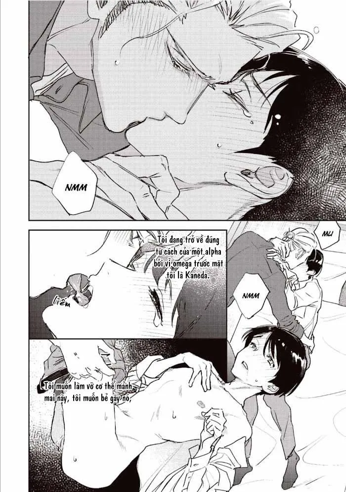 Omegaverse Ngọt Ngào Chapter 1 Trang 28