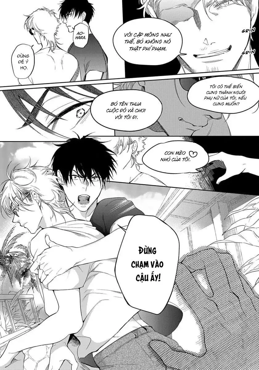 On Top Trên Bãi Biển Chapter 5 Trang 10