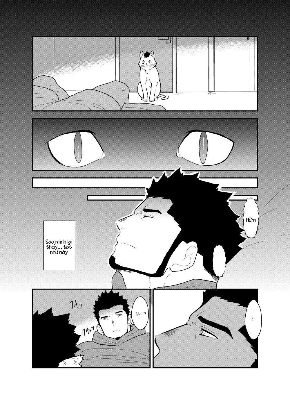 Tổng Hợp Các Bộ Truyện Của Sairo Panda Chapter 7 Trang 7