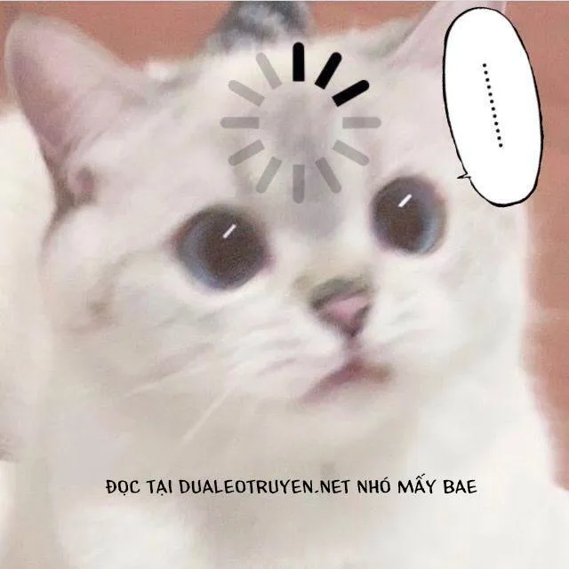 Oneshot BL Từ Nhiều Tác Giả - MLèo Dịch Chapter 11 Trang 24