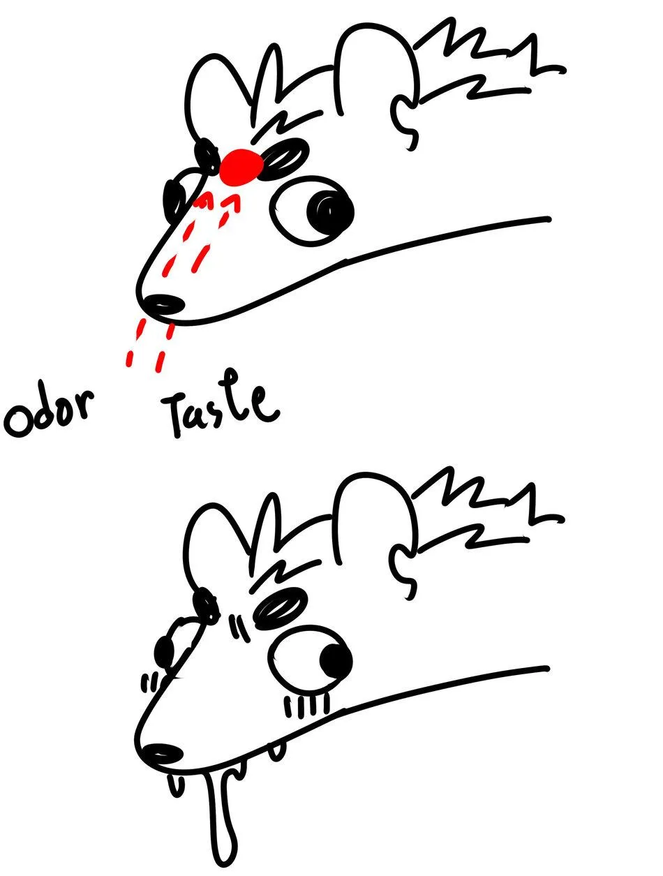 Oneshot Nhân Thú Mặn Mòi Chapter 22 Trang 34