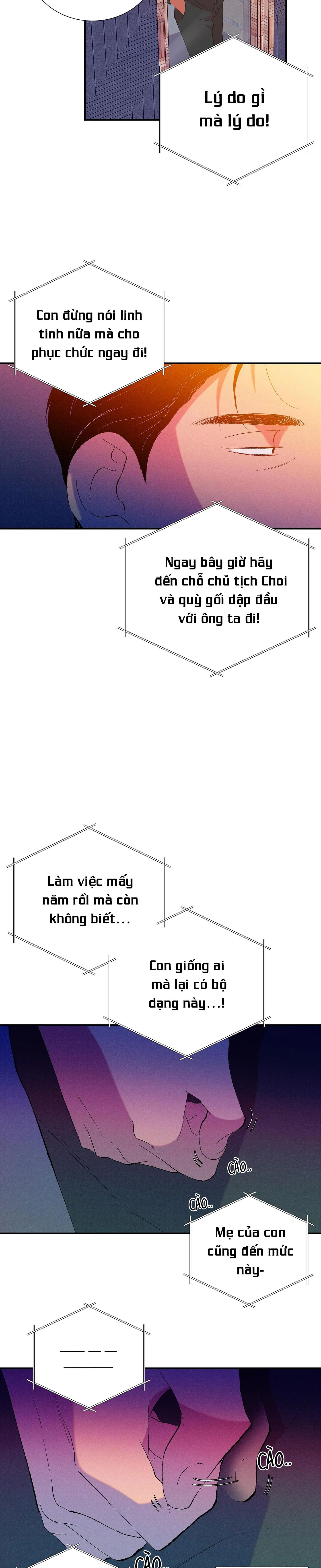 ÔNG CHÚ BÊN CỬA SỔ Chapter 28 Trang 16