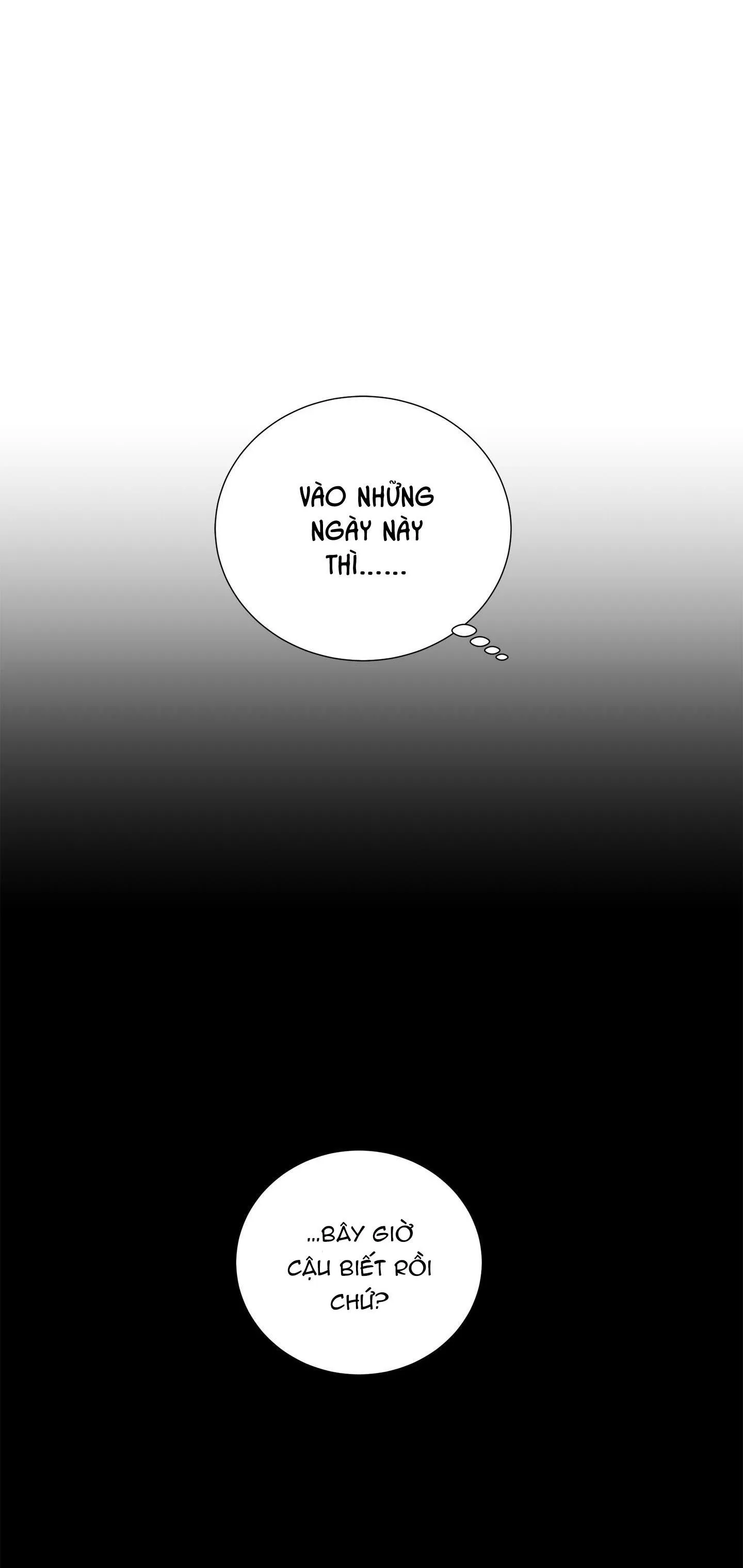 ÔNG CHÚ BÊN CỬA SỔ Chapter 40 Trang 11