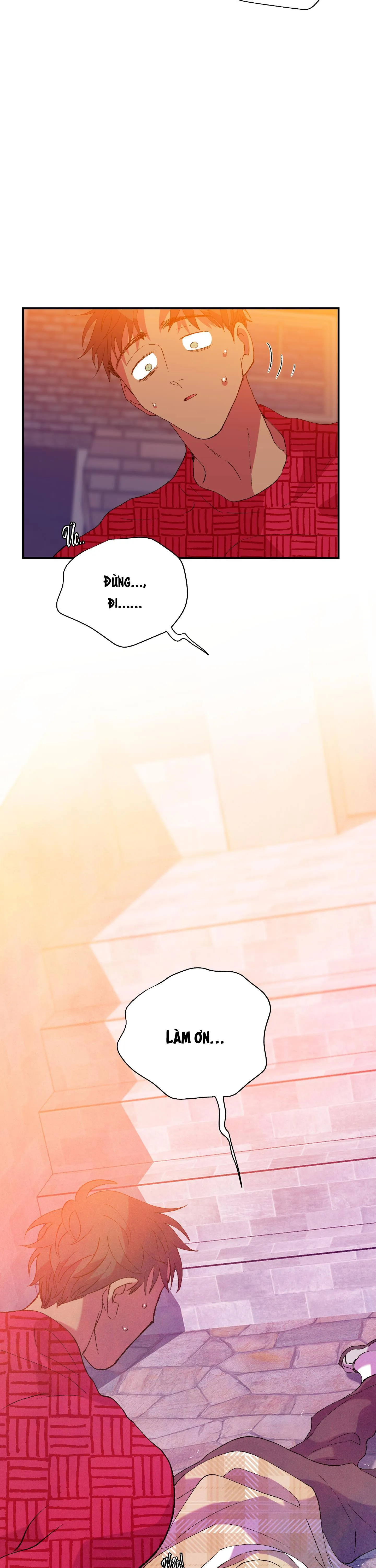 ÔNG CHÚ BÊN CỬA SỔ Chapter 60 Trang 11