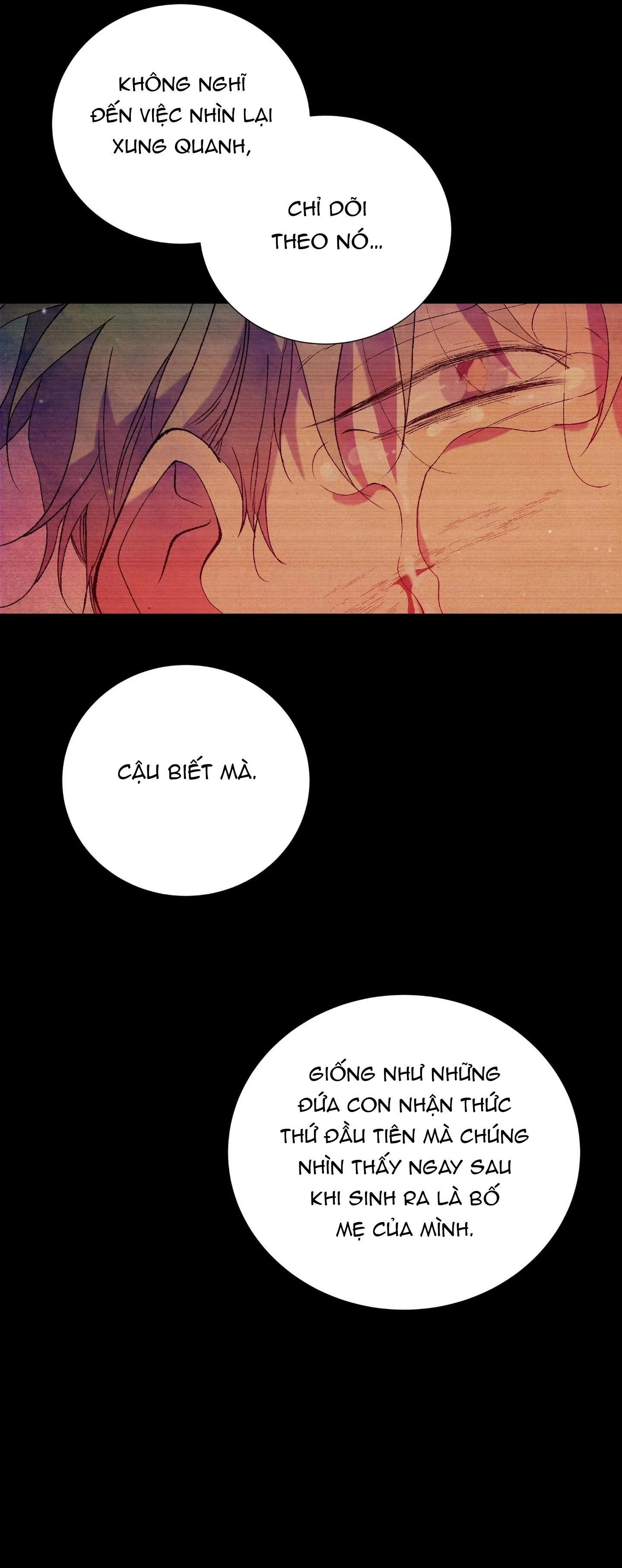 ÔNG CHÚ BÊN CỬA SỔ Chapter 61 Trang 21