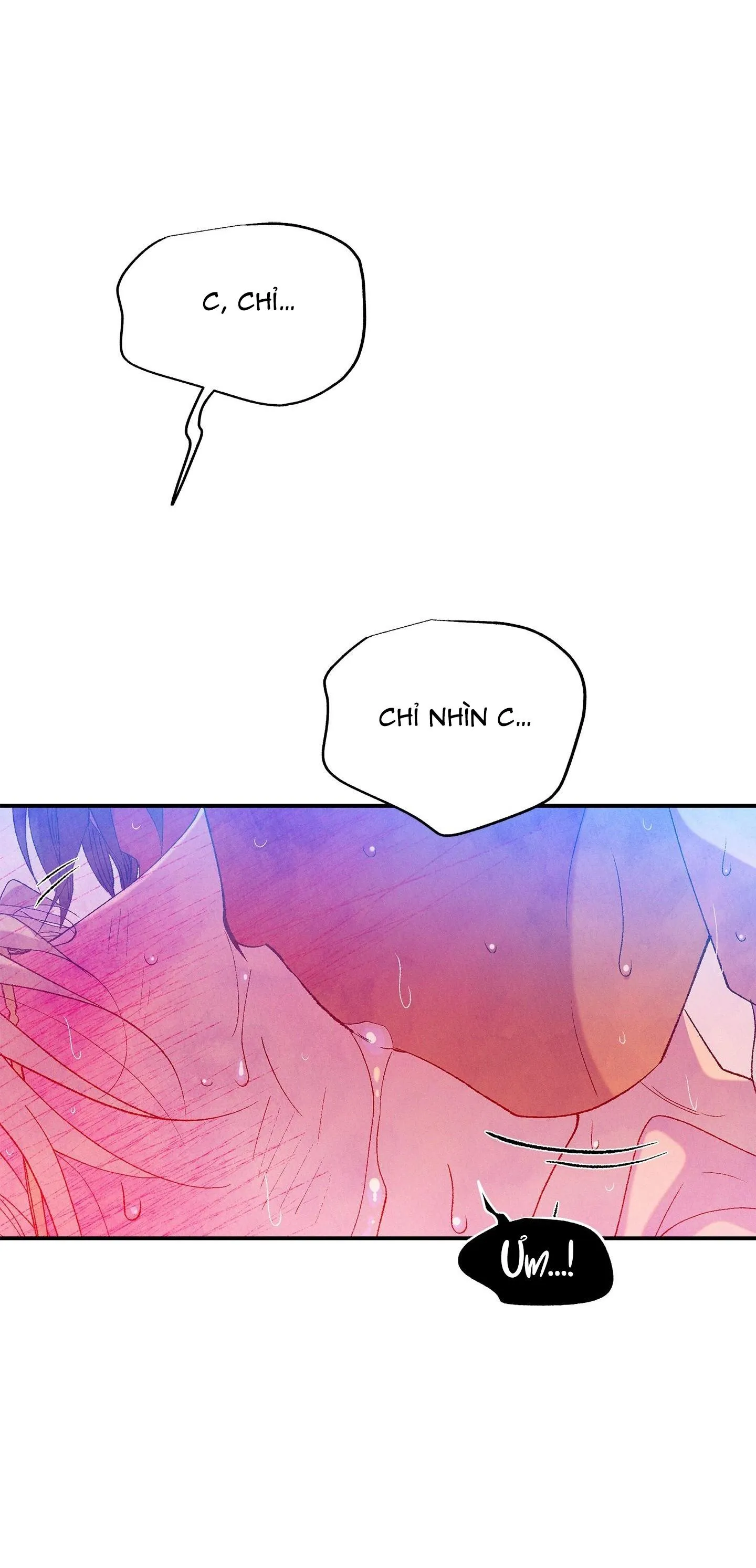 ÔNG CHÚ BÊN CỬA SỔ Chapter 67 Trang 33