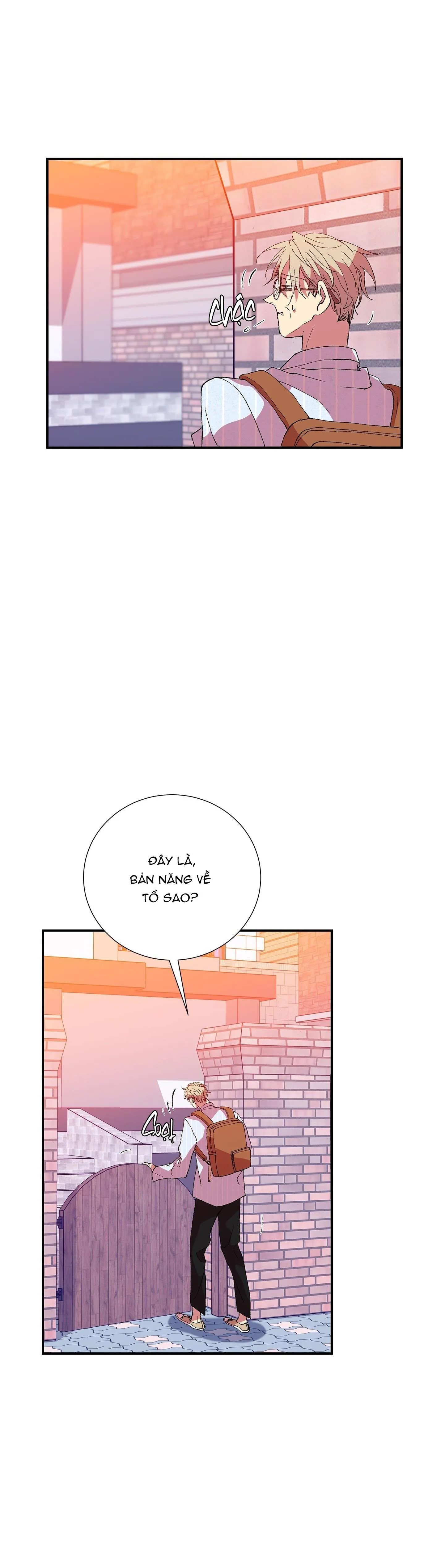 ÔNG CHÚ BÊN CỬA SỔ Chapter 74 Trang 3