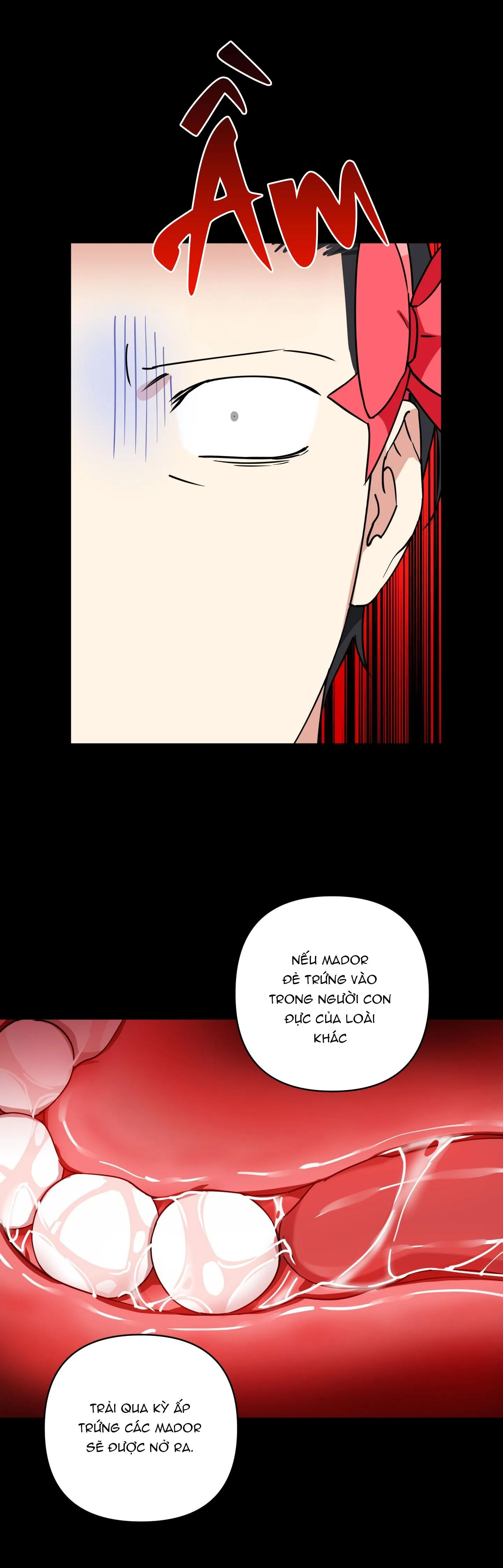 ÔNG CHÚ PHÉP THUẬT Chapter 22 Trang 9