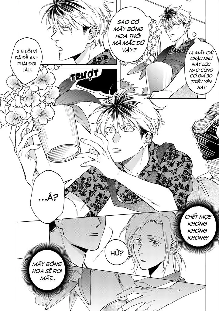 Ong Mật Và Tía Tô Chapter 2 Trang 8