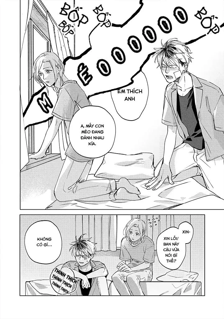 Ong Mật Và Tía Tô Chapter 4 Trang 22