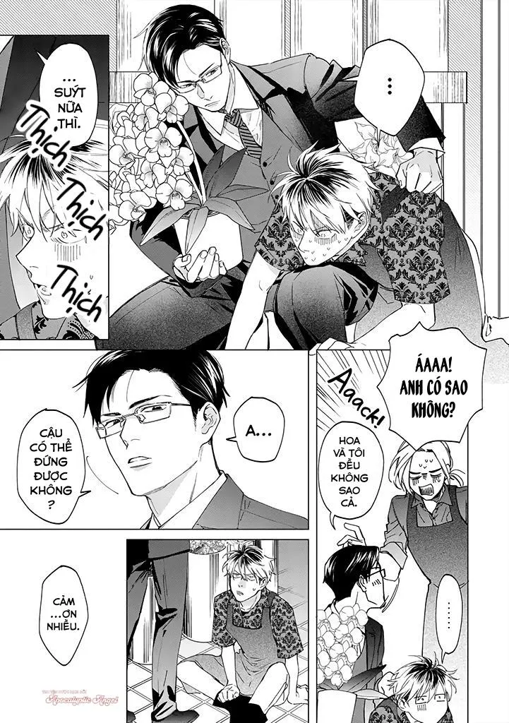 Ong Mật Và Tía Tô Đất Chapter 2 Trang 10