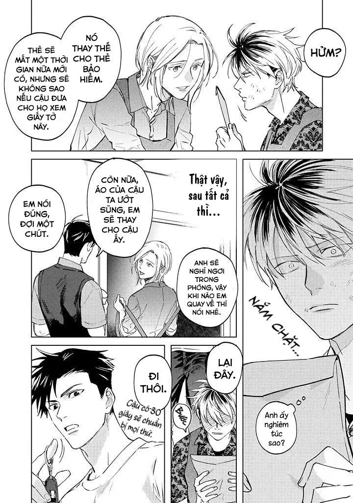 Ong Mật Và Tía Tô Đất Chapter 3 Trang 7