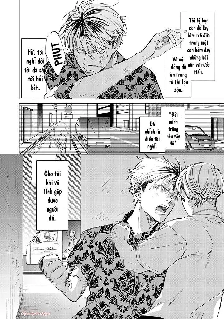 Ong Mật Và Tía Tô Đất Chapter 1 Trang 3