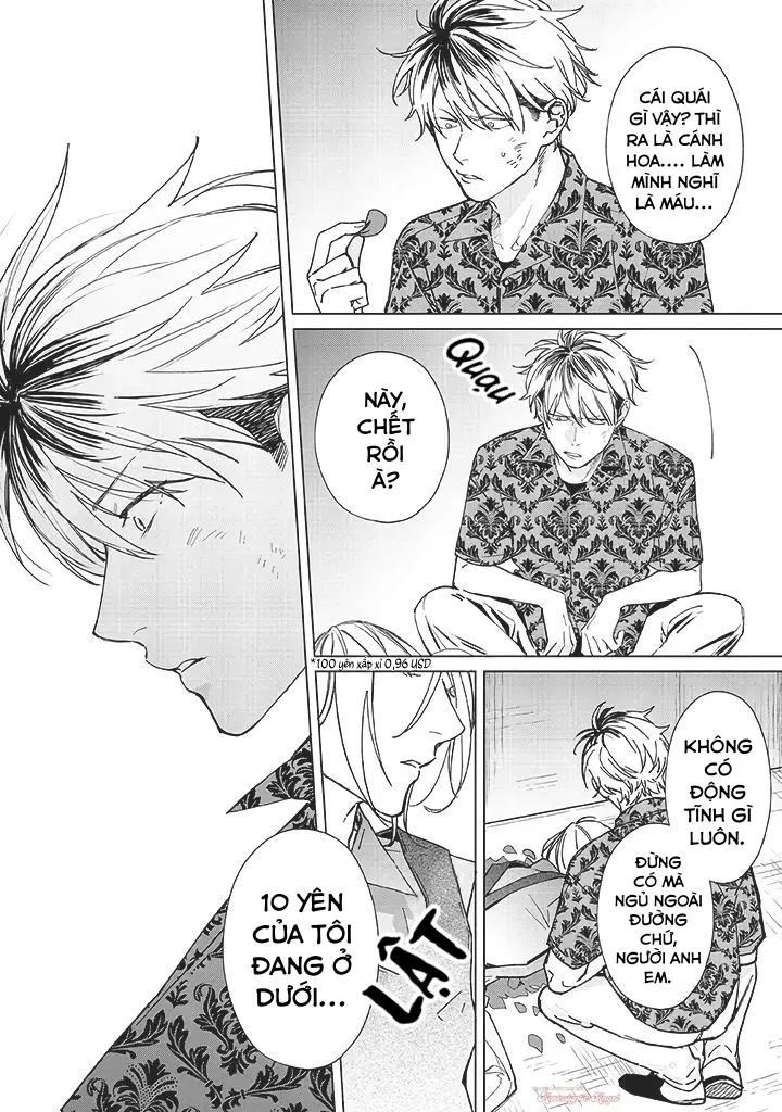 Ong Mật Và Tía Tô Đất Chapter 1 Trang 7