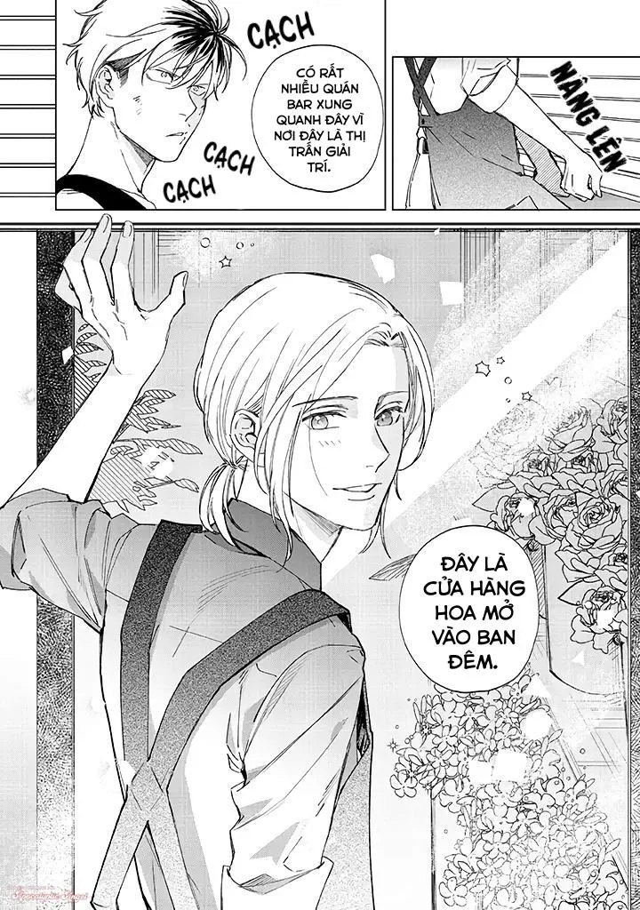 Ong Mật Và Tía Tô Đất Chapter 1 Trang 19