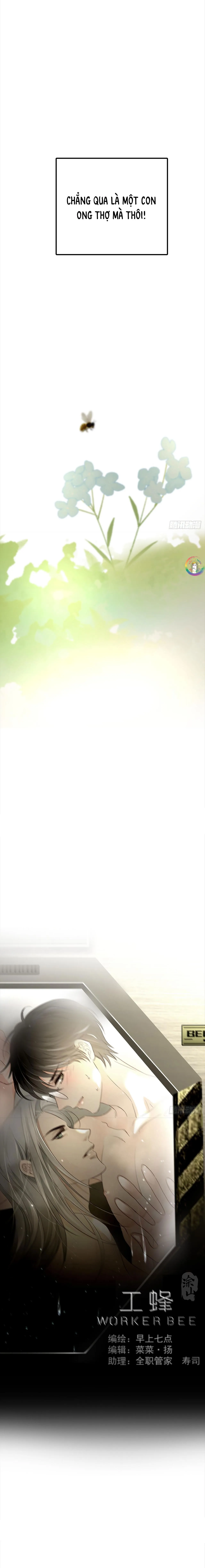 Ong Thợ Chapter 12 Trang 12