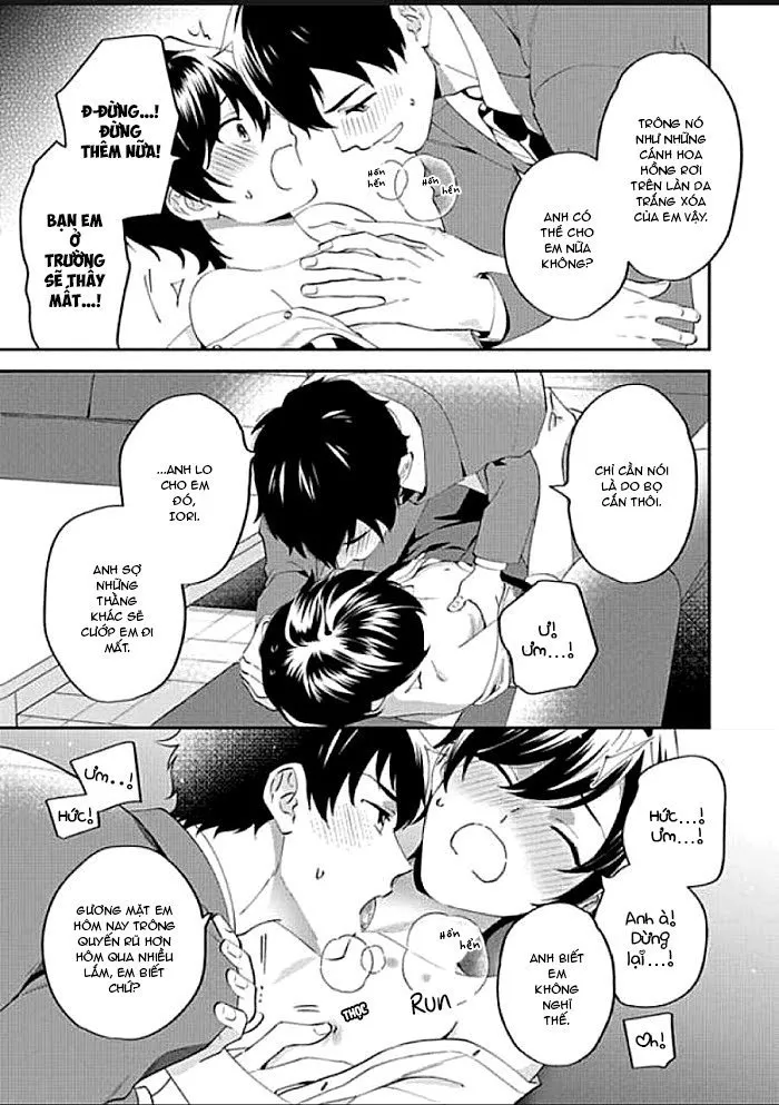 Onii-chan Datte Amaetai Wake de Chapter 1 Trang 26