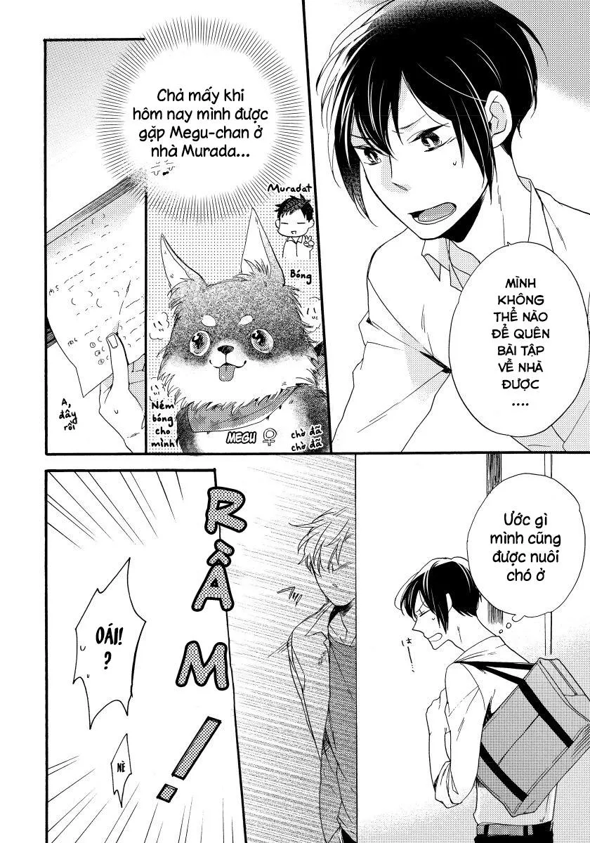 Oogami Yêu Dấu Của Tôi! Chapter 1 Trang 6