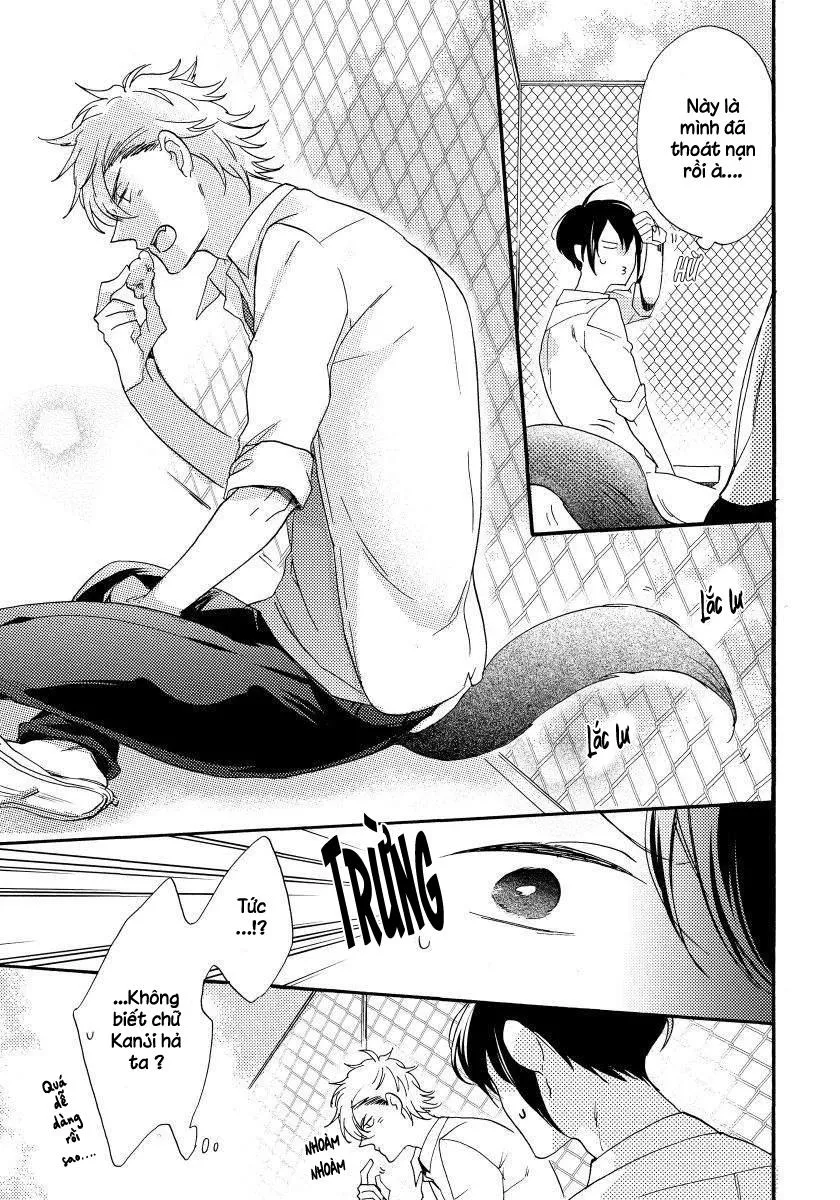 Oogami Yêu Dấu Của Tôi! Chapter 1 Trang 17