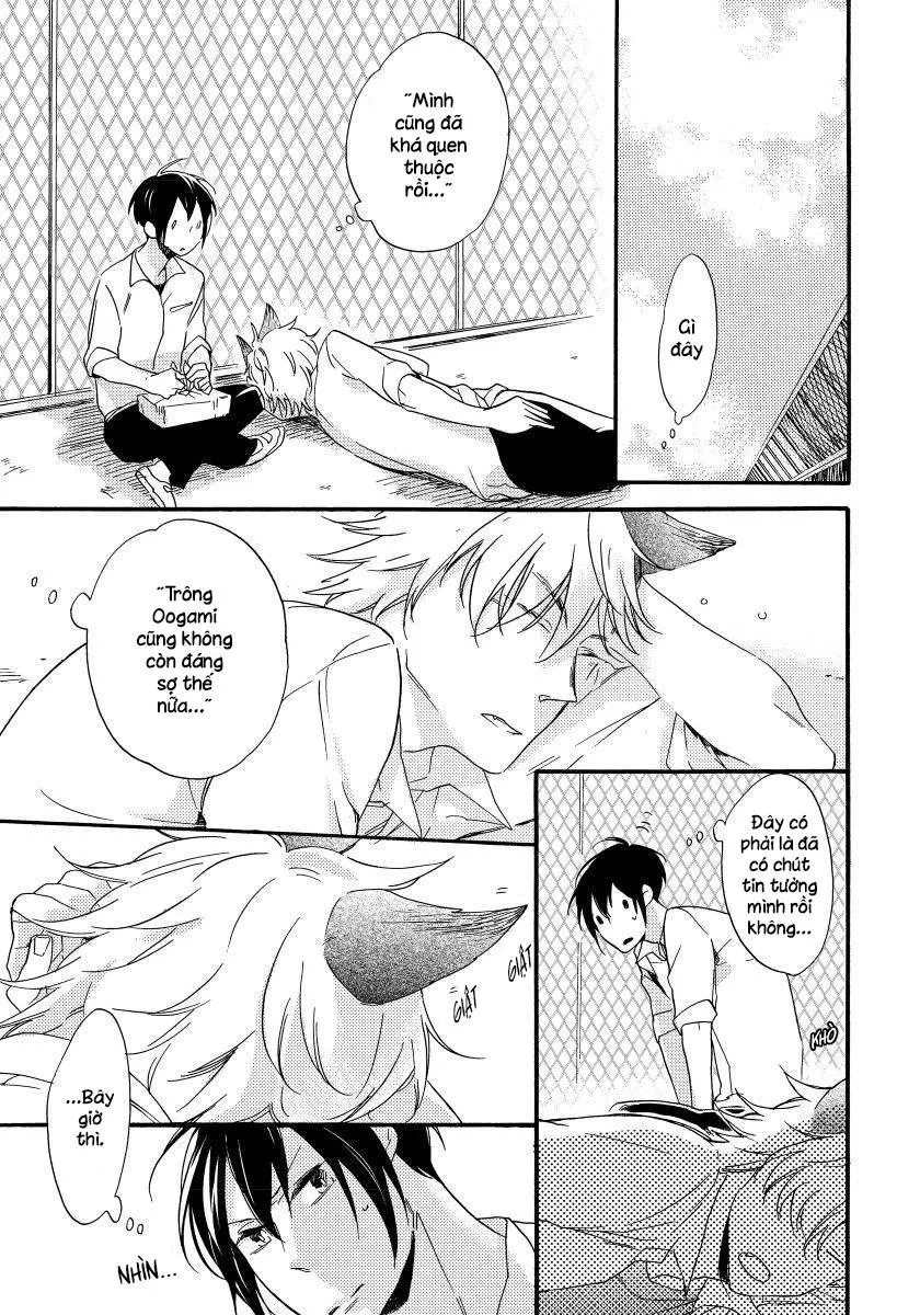 Oogami Yêu Dấu Của Tôi! Chapter 1 Trang 21