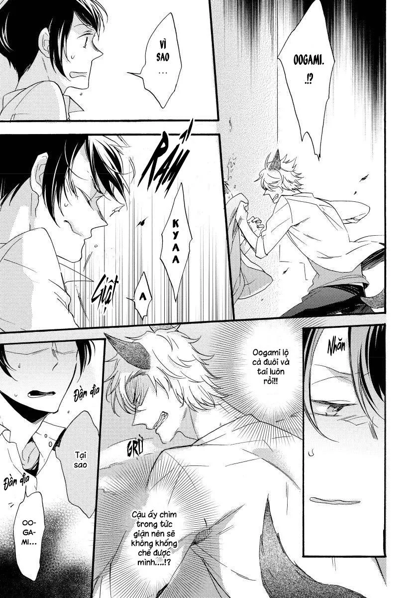 Oogami Yêu Dấu Của Tôi! Chapter 1 Trang 31